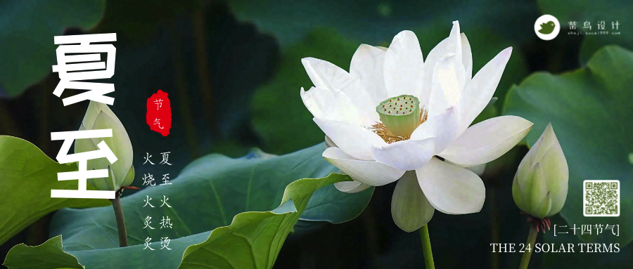 夏至公众号首图