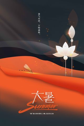 红色大暑节气传统活动海报