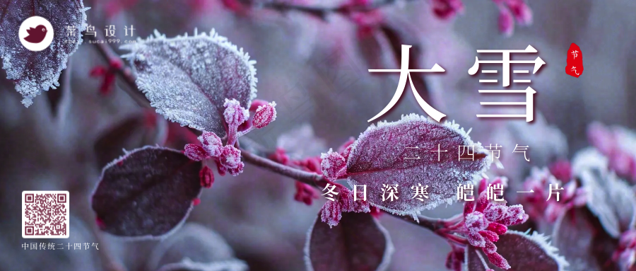 大雪公众号首图