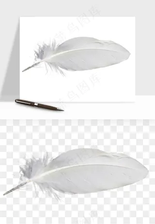 白羽毛漂浮彩色羽毛png免抠