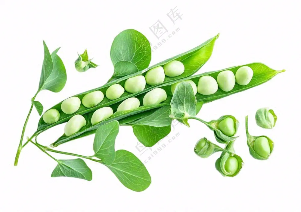 豌豆青豆蔬菜免抠