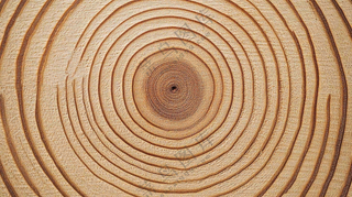 木质木头纹理背景