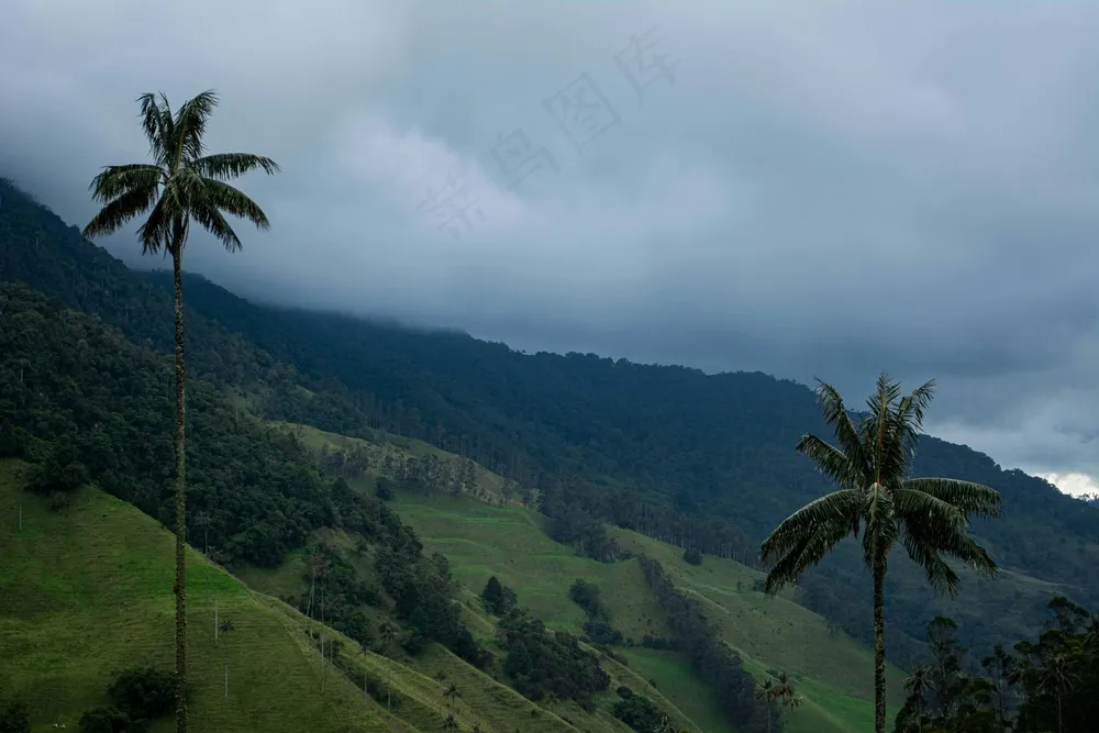静谧山丘：自然风景的和谐画卷
