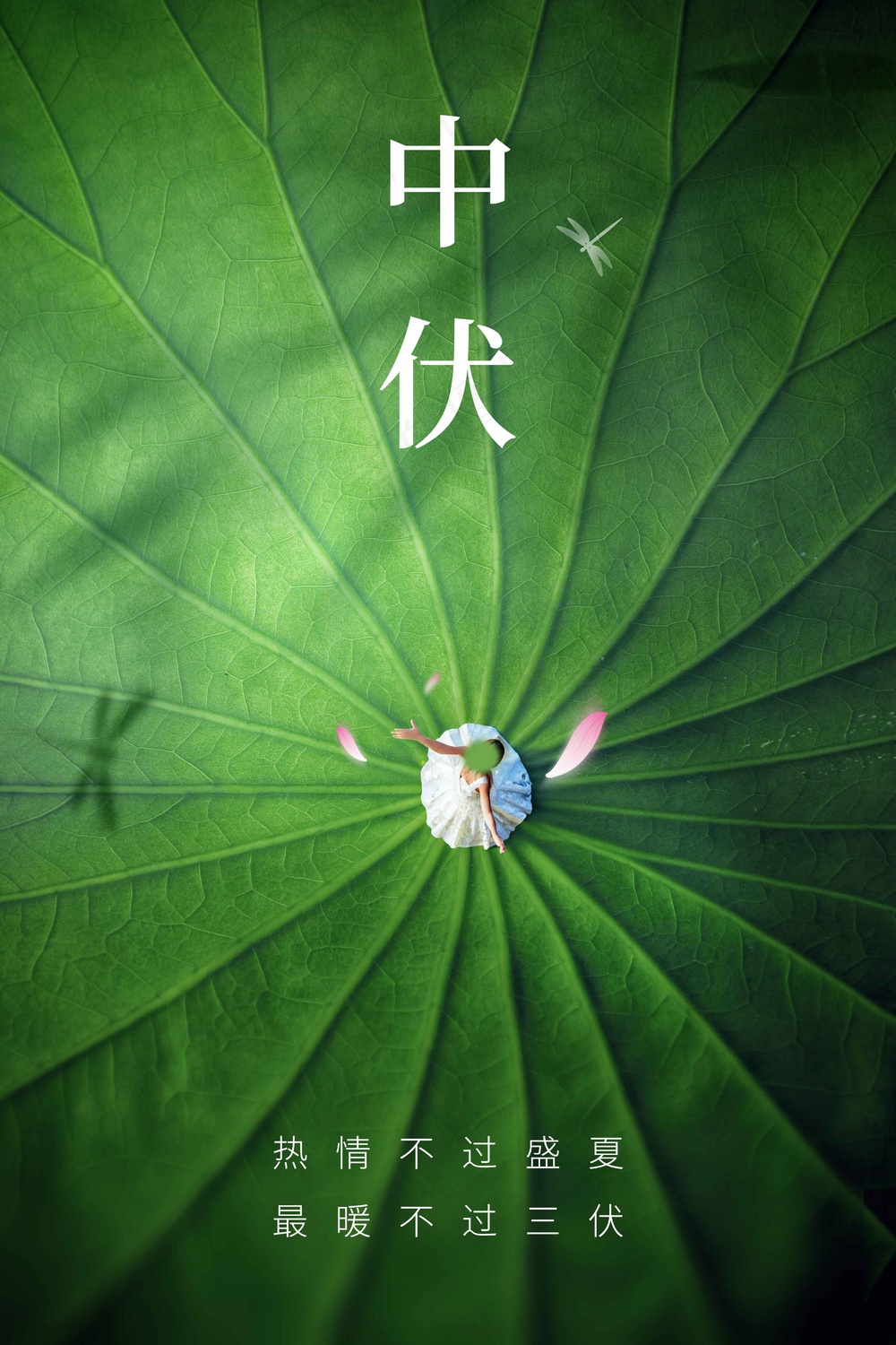 绿色简约中伏节气海报