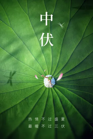 绿色简约中伏节气海报