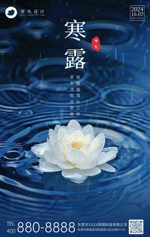 寒露手机海报