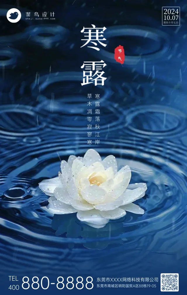 寒露手机海报