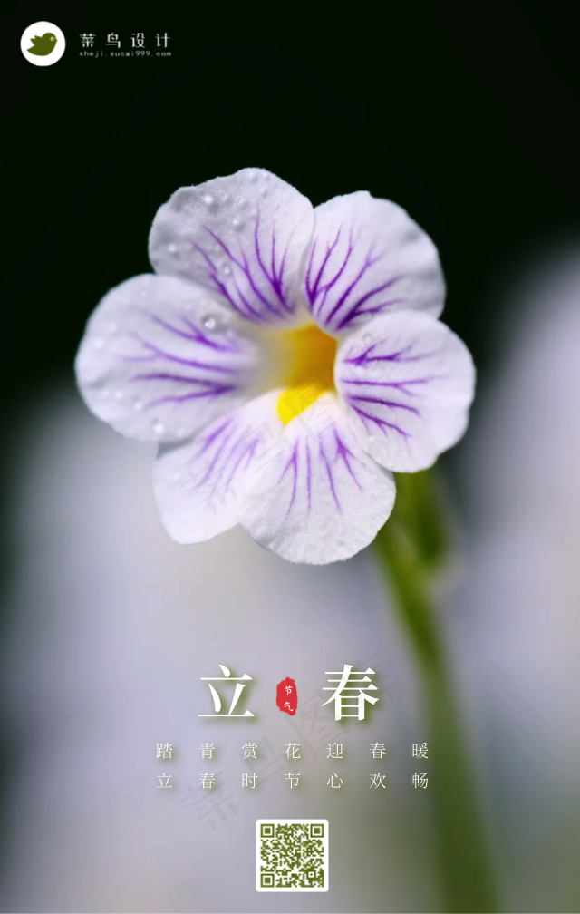 立春手机海报