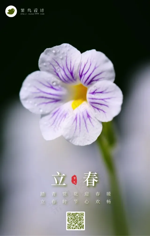立春手机海报