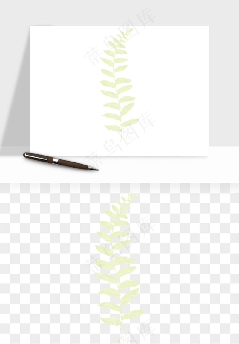 清新手绘植物png免抠