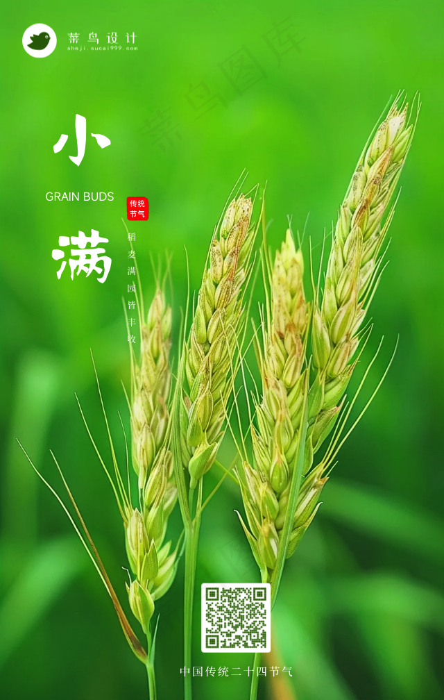 小满手机海报