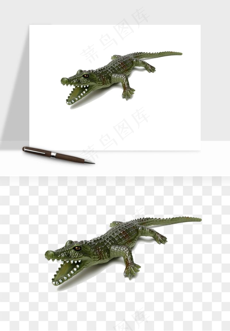 鳄鱼动物png免抠