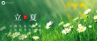 立夏公众号首图