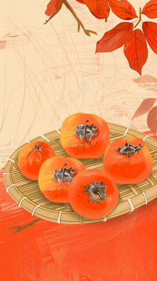 成熟的柿子水果红色背景插画霜降背景