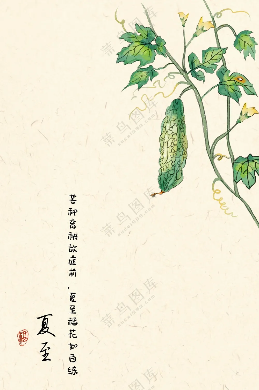 二十四节气 夏至