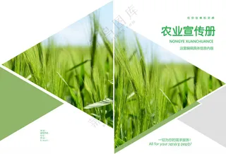 农业宣传册封面画册150DPI