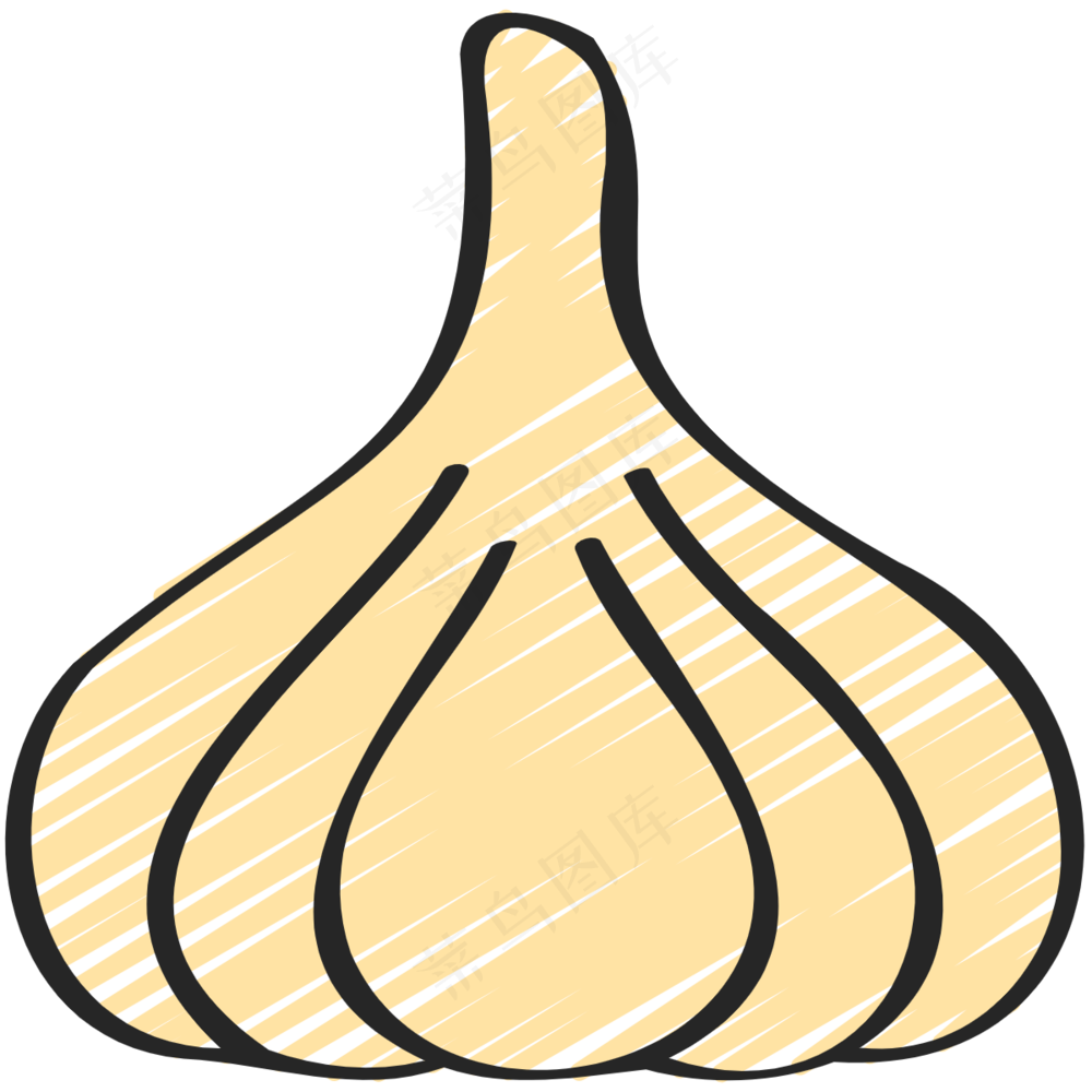 大蒜头 garlic 绿色健康食品 铅笔手绘图标icon