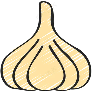 大蒜头 garlic 绿色健康食品 铅笔手绘图标icon
