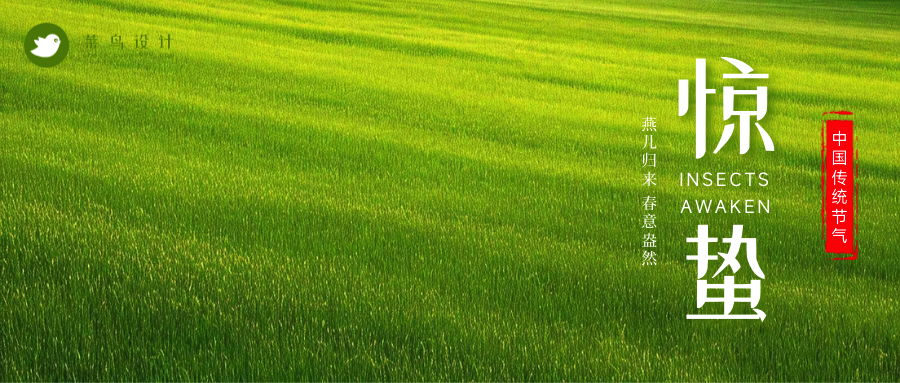 惊蛰公众号首图