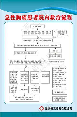 急性胸痛患者院内救治流程图