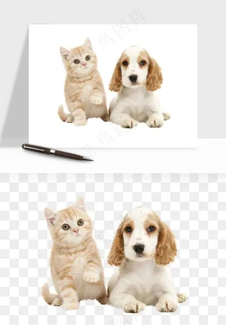 猫咪喵星人狗狗宠物元素png免抠
