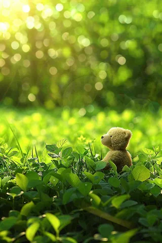 春天绿草坪野花上的小熊玩偶阳光立春春分惊蛰摄影图