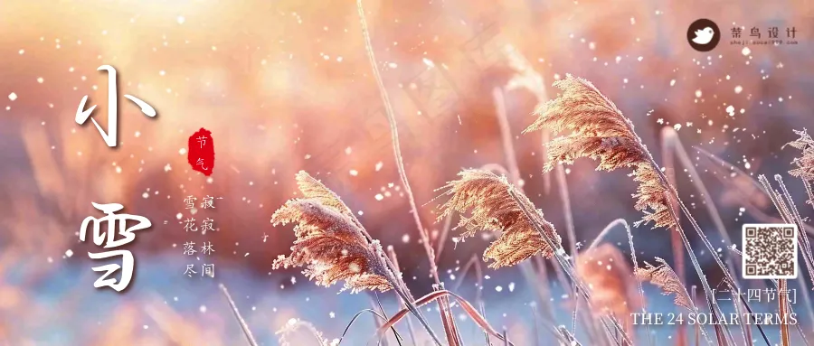小雪公众号首图