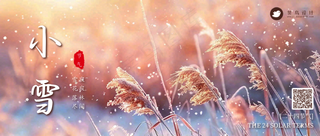 小雪公众号首图