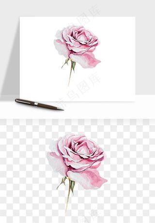 水彩复古花卉png免抠
