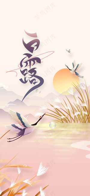 白露节气传统活动宣传海报