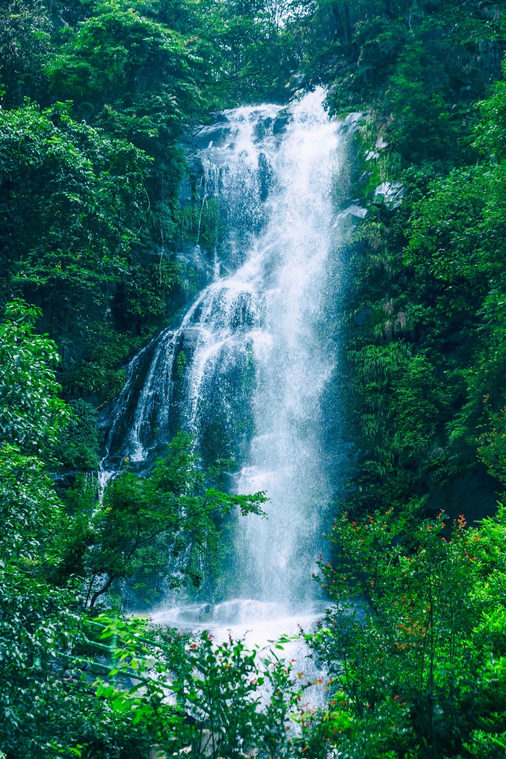 户外森林瀑布水流背景素材