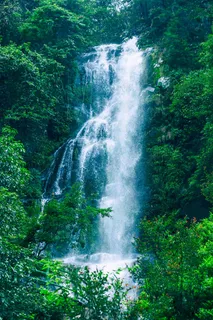 户外森林瀑布水流背景素材 户外森林瀑布水流背景素材
