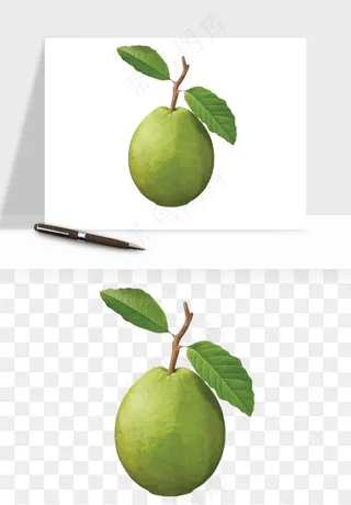 番石榴芭乐水果png免抠