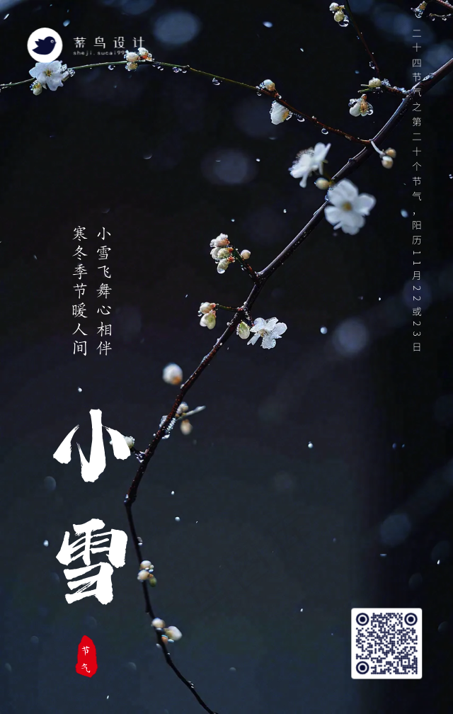小雪手机海报