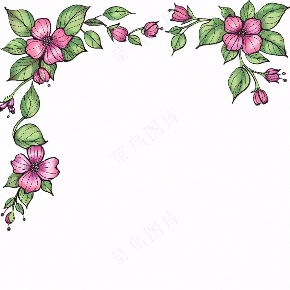 花边边框植物小清新卡通插画免抠