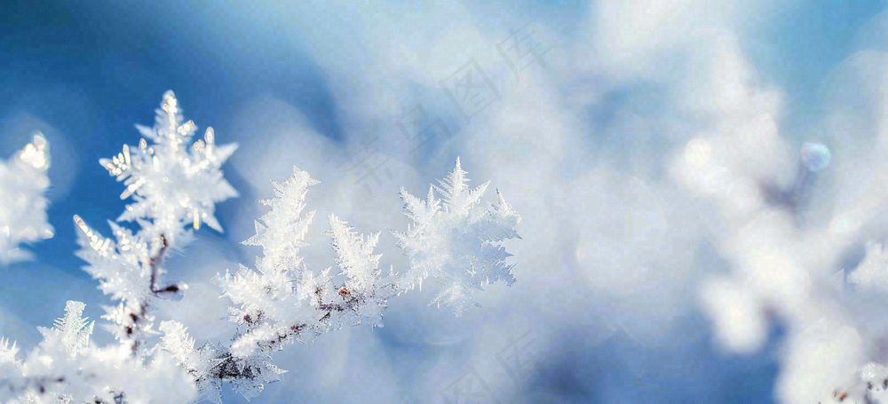 冰冻预警暴雪预警通知公告背景