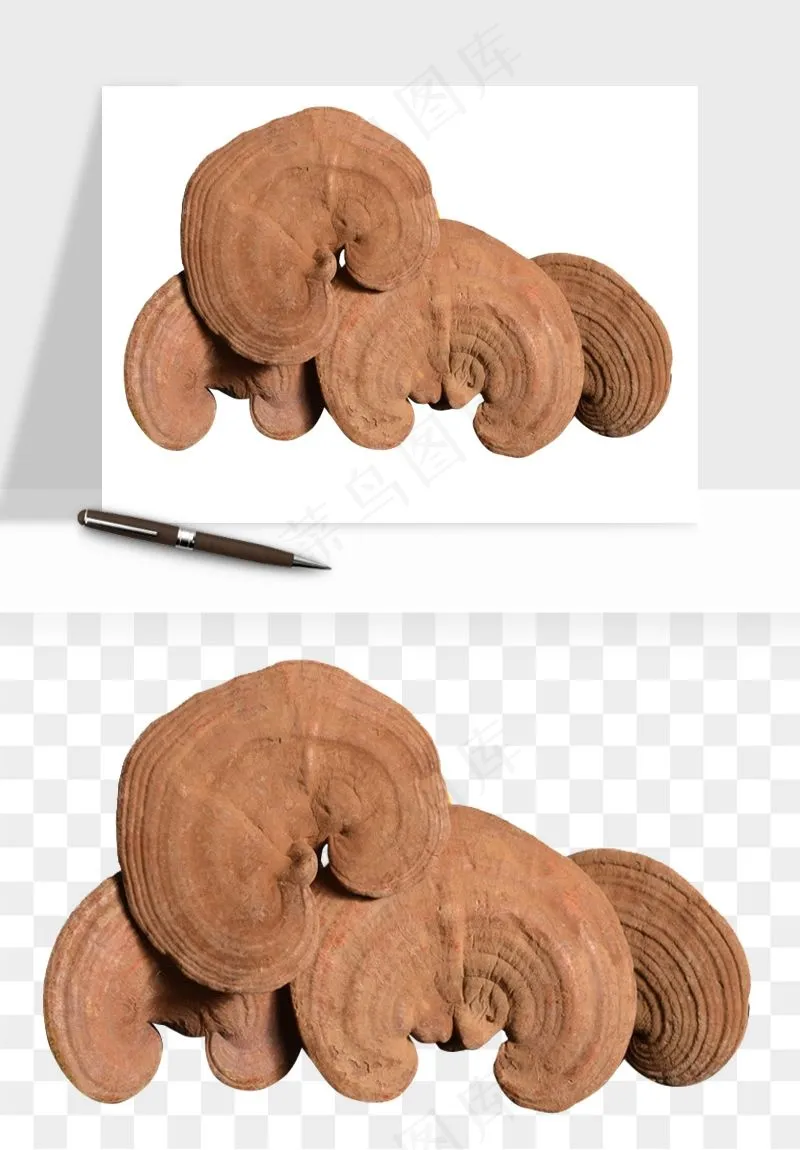 中药养生药材png免抠
