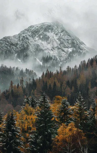 秋天森林山脉清晨起雾大自然风光寒露摄影图