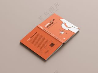 11装帧书籍封面书本画册vi样机