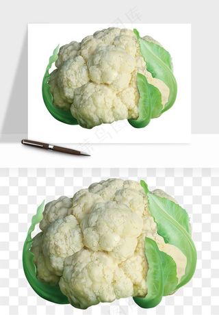 花菜椰菜花蔬菜png免抠