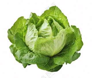 青菜生菜蔬菜免抠