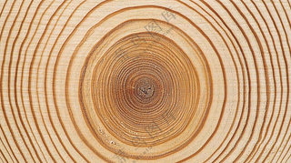 木质木头纹理背景