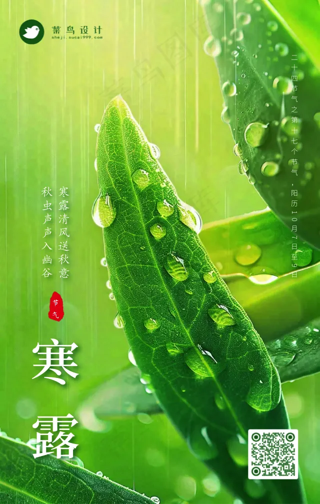 寒露手机海报