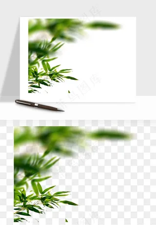 绿叶虚化前景树枝png免抠