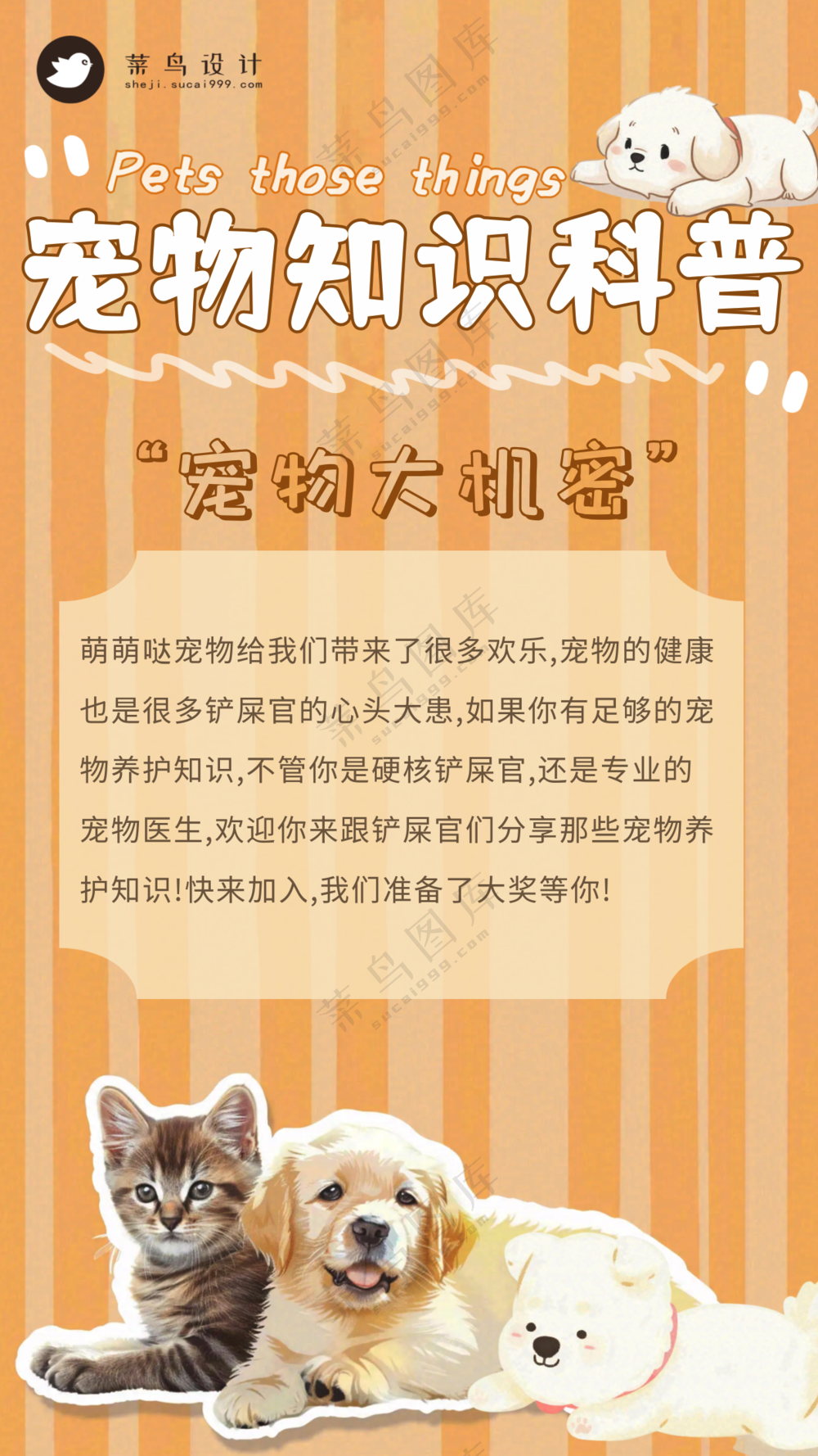 萌宠宠物知识科普手机海报