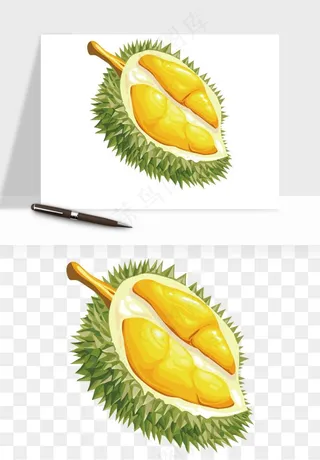 榴莲果肉水果png免抠