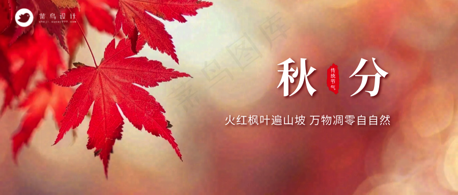 秋分公众号首图