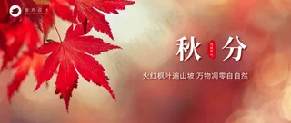 秋分公众号首图