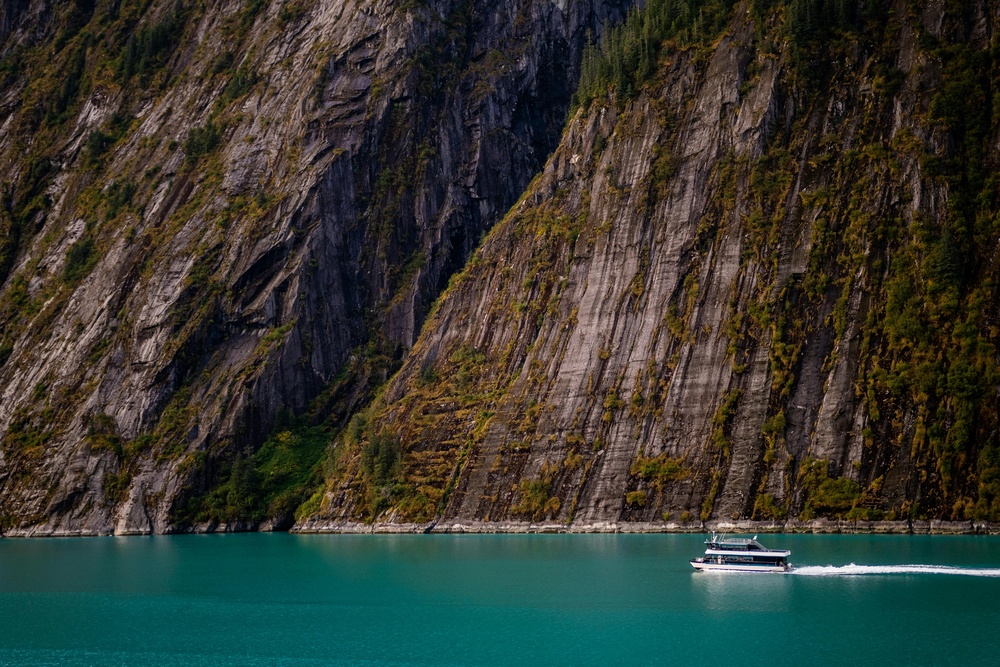 宁静碧绿海湾的晨曦