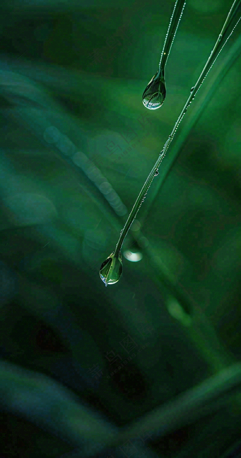 白露节气